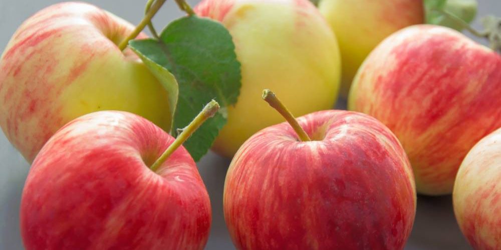 New Project - 2019-12-06T092317.495