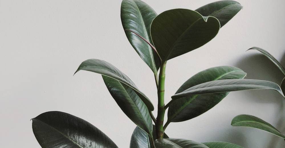 New Project - 2019-12-06T104720.159 New Project - 2019-12-06T104720.159