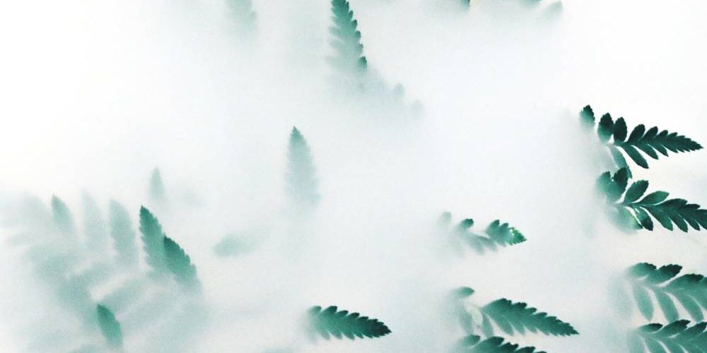 New Project - 2019-12-06T112545.065 New Project - 2019-12-06T112545.065